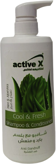 ACTIVE X SHAMPOO & CONDITIONER ANTI DANDRUFF